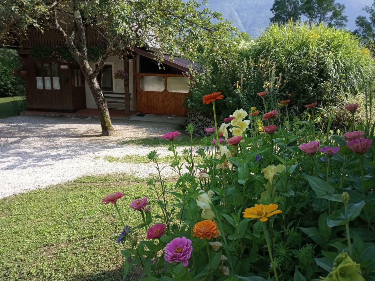 Holiday House Zeleni Gaj Бовец Екстериор снимка
